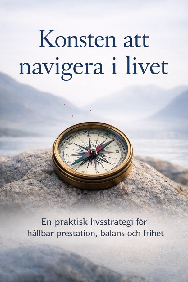 Konsten att navigera i livet – guide för struktur, balans och bättre beslut